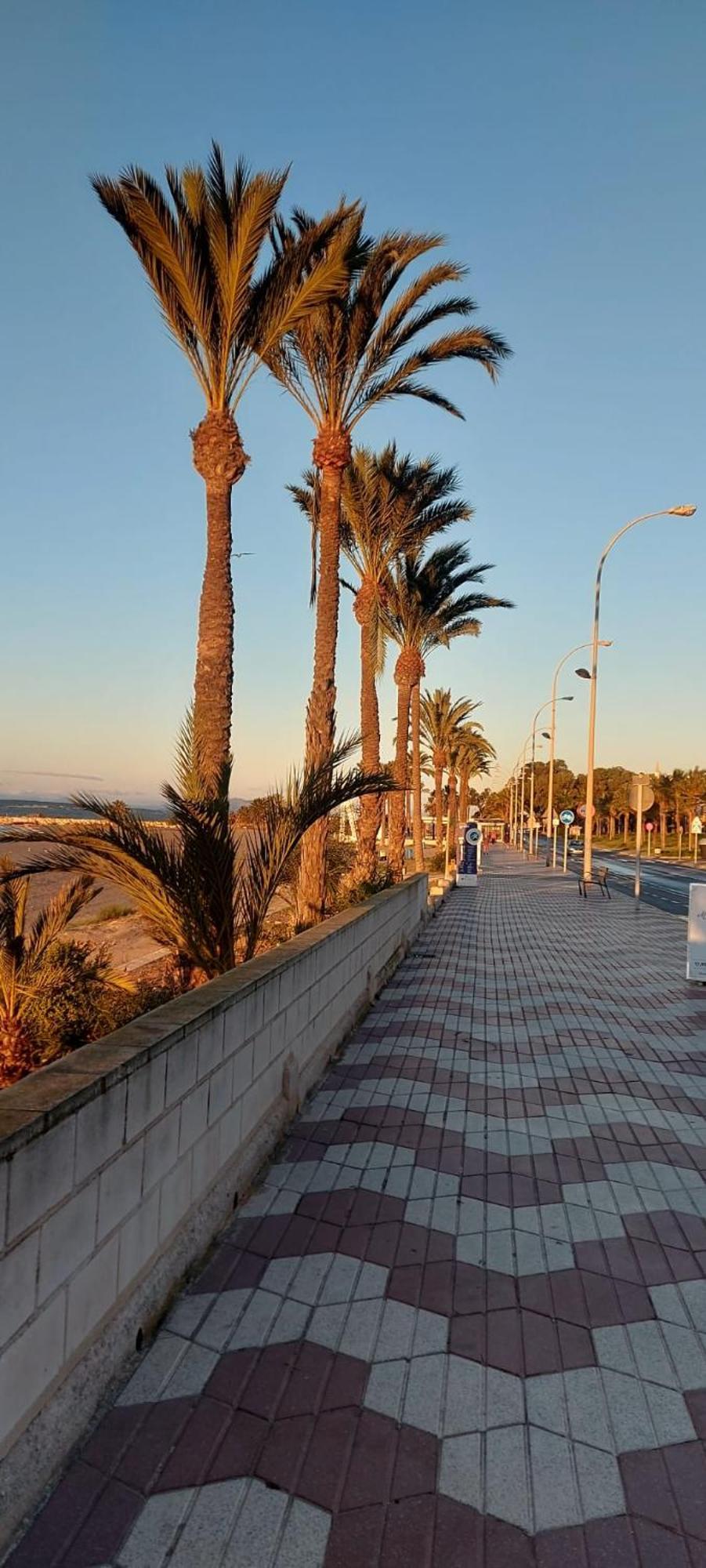 La Casita Del Tio Διαμέρισμα Santa Pola Εξωτερικό φωτογραφία